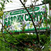 Visit Boring Square Garden Center