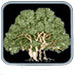 Visit Jaycee Newman, Inc.